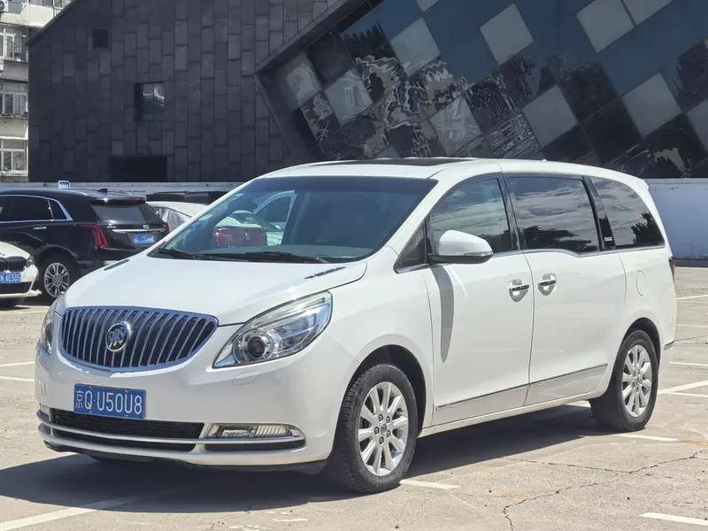 Buick GL8 3.0L GT Luxury Business Elegant Edition, 2013 — фото 1