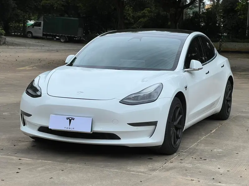 Tesla Model 3 Standard Range RWD Upgraded Edition, 2020 — фото 1
