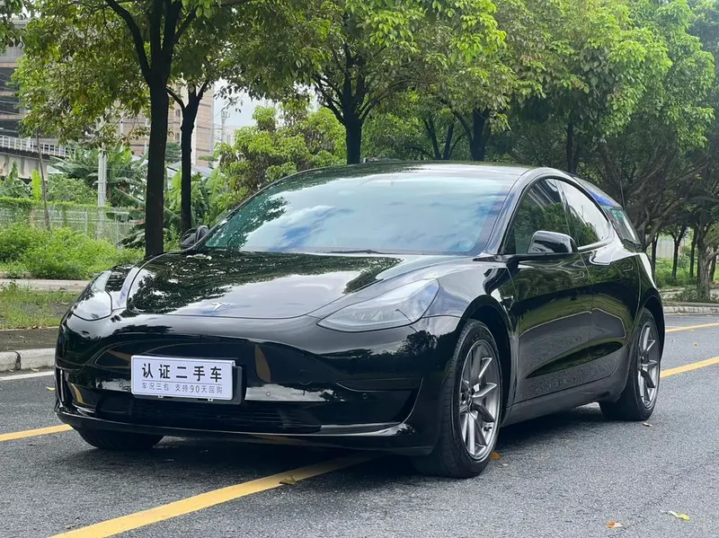 Tesla Model 3 Standard Range RWD Upgraded Edition 3D1, 2021 — фото 1