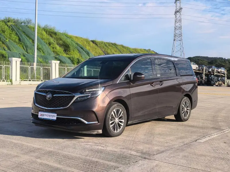 Buick GL8 ES Premium 653T Prestige Version, 2020 — фото 1