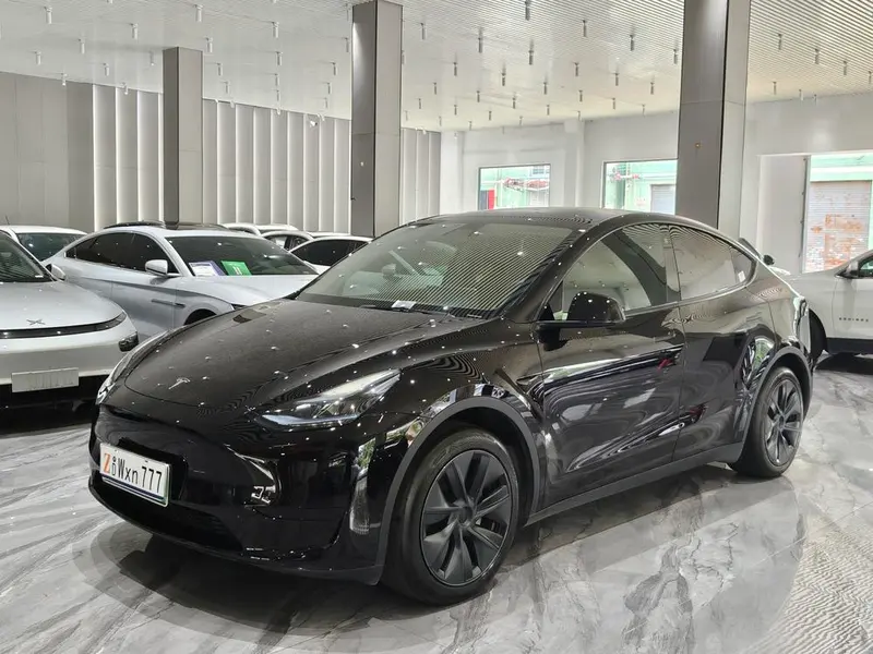 Tesla Model Y Edition, 2023 — фото 1