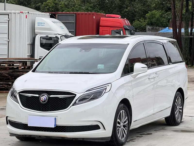 Buick GL8 ES 28T Flagship Version CN6, 2018 — фото 1