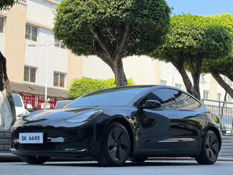 Tesla Model 3 Standard Range RWD Upgraded Edition 3D6, 2021 — фото 1