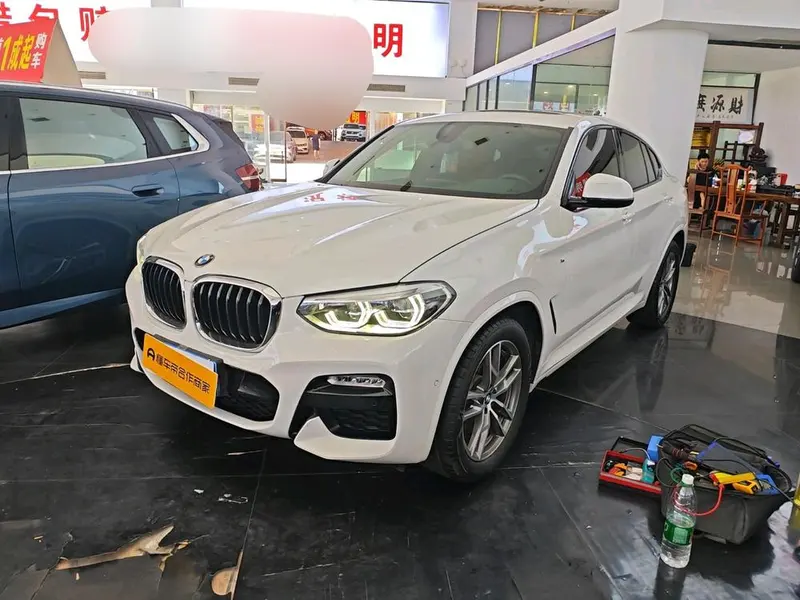 BMW X4 xDrive25i M Sport, 2019 — фото 1