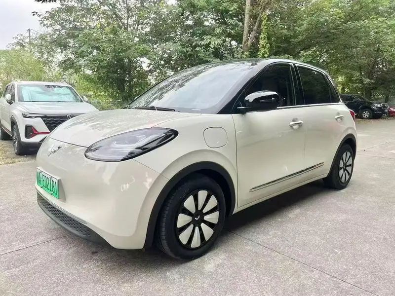 Wuling Bingo, 2023