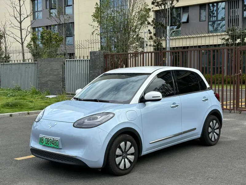 Wuling Bingo, 2024