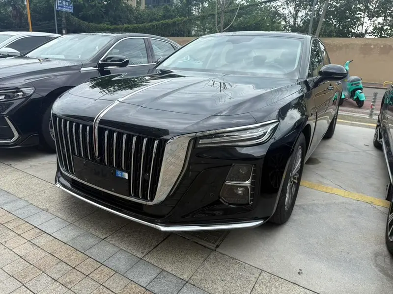 Hongqi H5, 2024