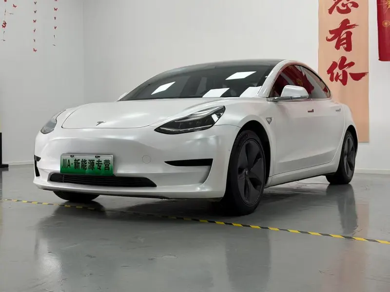 Tesla Model 3 Standard Range RWD Upgraded Edition, 2019 — фото 1