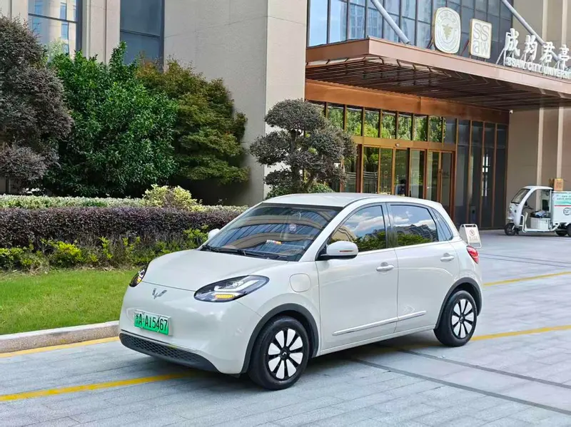 Wuling Bingo, 2024