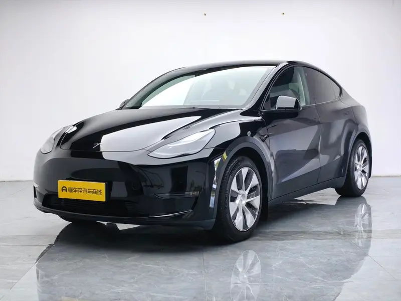 Tesla Model Y Standard Range Edition, 2021 — фото 1