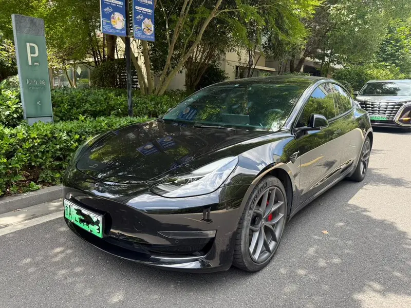 Tesla Model 3 Performance High Performance AWD Edition, 2022 — фото 1