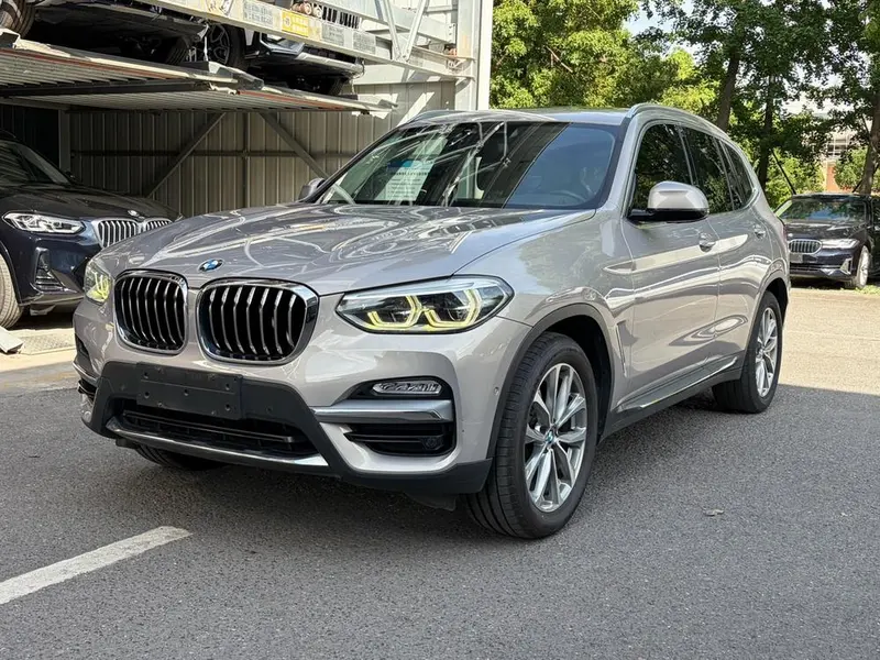 BMW X3 xDrive25i Luxury CN6, 2018 — фото 1