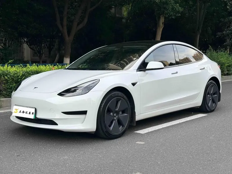 Tesla Model 3 Edition, 2022 — фото 1