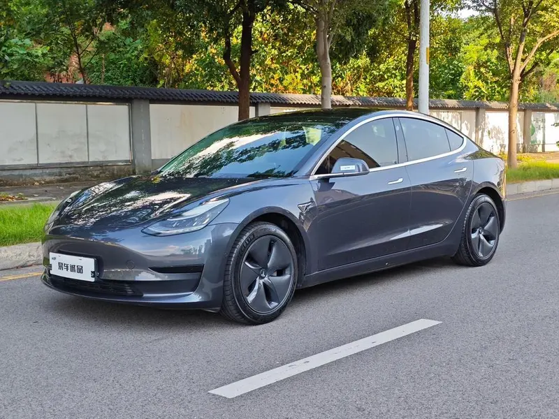 Tesla Model 3 Standard Range RWD Upgraded Edition, 2020 — фото 1