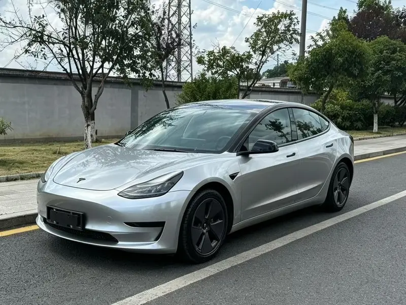 Tesla Model 3 Standard Range RWD Upgraded Edition, 2021 — фото 1