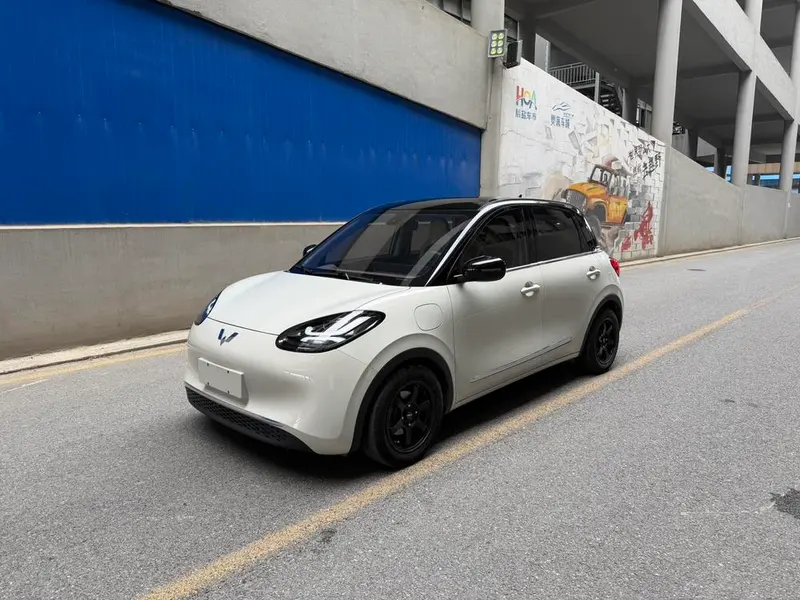 Wuling Bingo, 2023