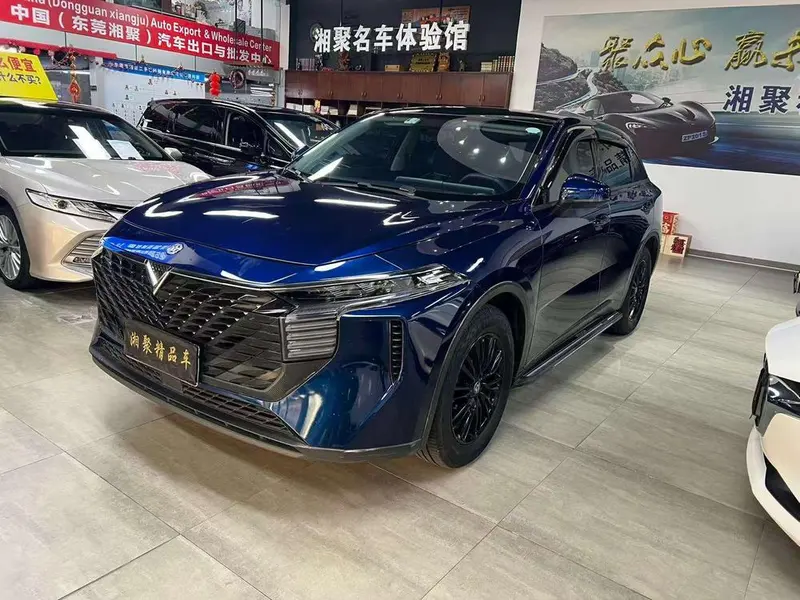 Venucia Big V, 2022