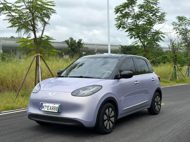 Wuling Bingo, 2025