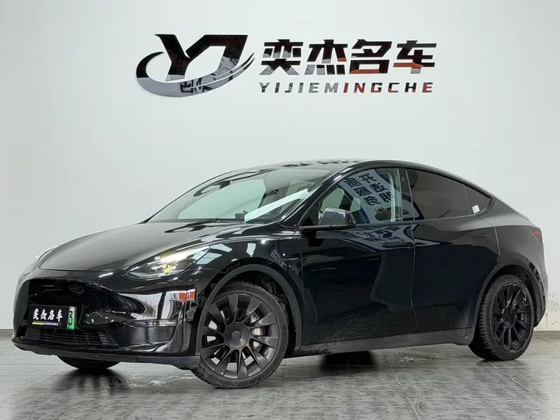 Tesla Model Y Long Range AWD Edition, 2021 — фото 1