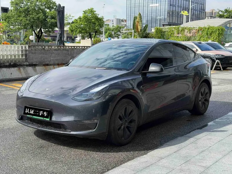 Tesla Model Y Long Range AWD Edition, 2024 — фото 1