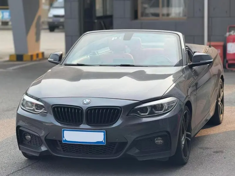 BMW 2-Series (Import), 2019