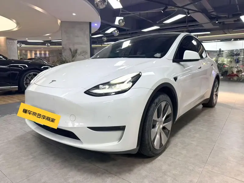 Tesla Model Y Standard Range Edition, 2021 — фото 1