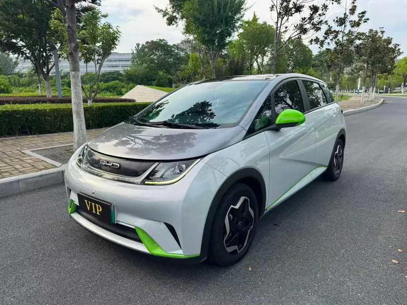 BYD Dolphin Fashion Edition, 2021 — фото 1