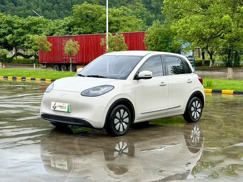 Wuling Bingo, 2023