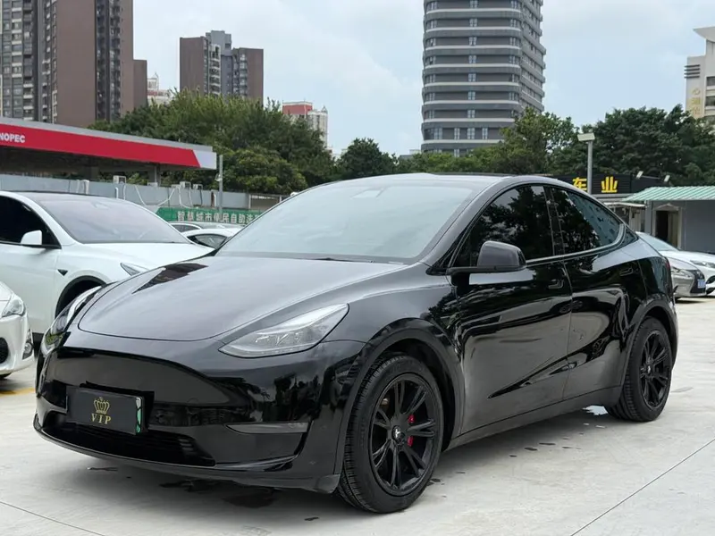 Tesla Model Y Long Range AWD Edition, 2021 — фото 1