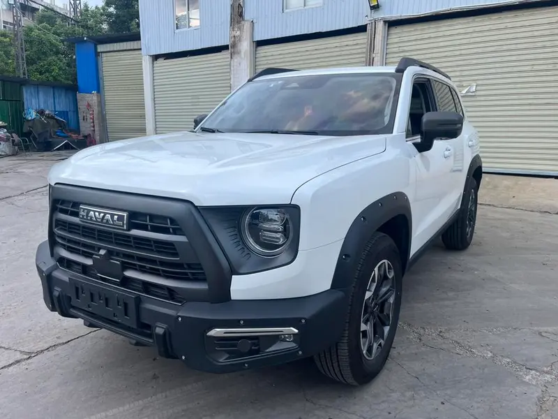 Haval Big Dog 2.0T 4WD Edition, 2024 — фото 1