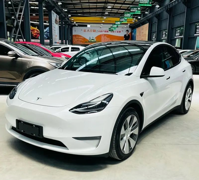 Tesla Model Y Standard Range Edition, 2021 — фото 1