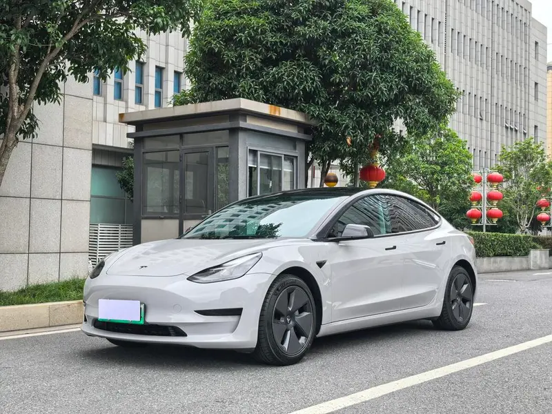 Tesla Model 3 Standard Range RWD Upgraded Edition 3D6, 2021 — фото 1