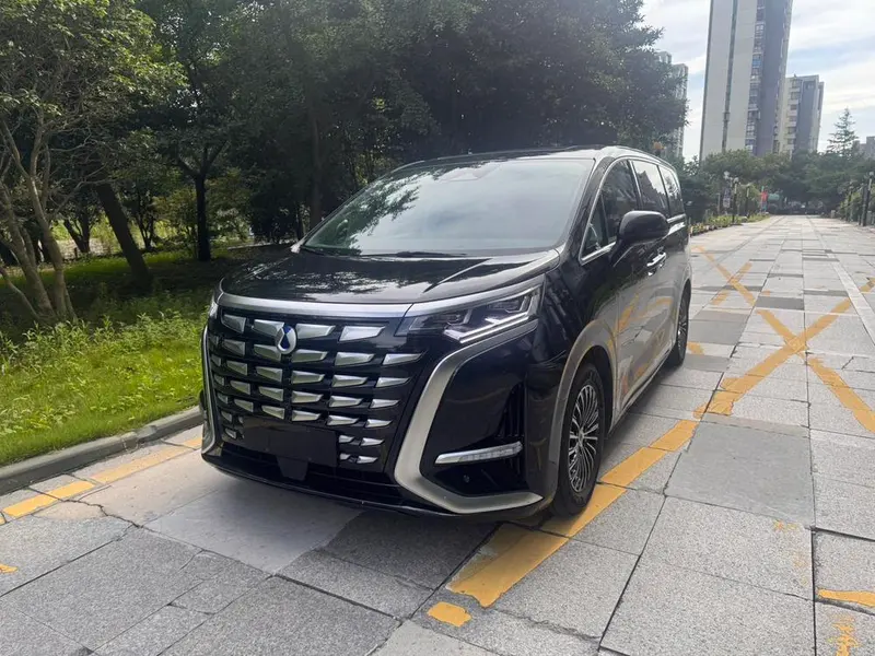 Denza D9 DM, 2022