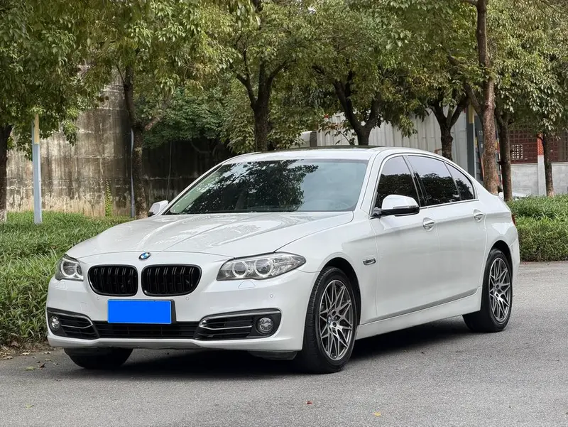 BMW 5-Series, 2017