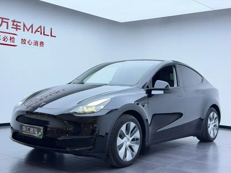 Tesla Model Y Edition, 2022 — фото 1