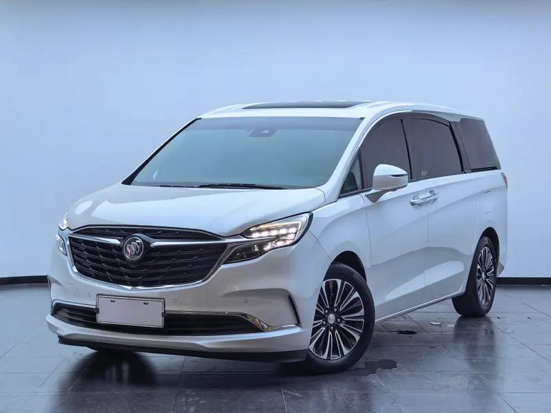 Buick GL8 ES Premium 653T Luxury Version, 2020 — фото 1