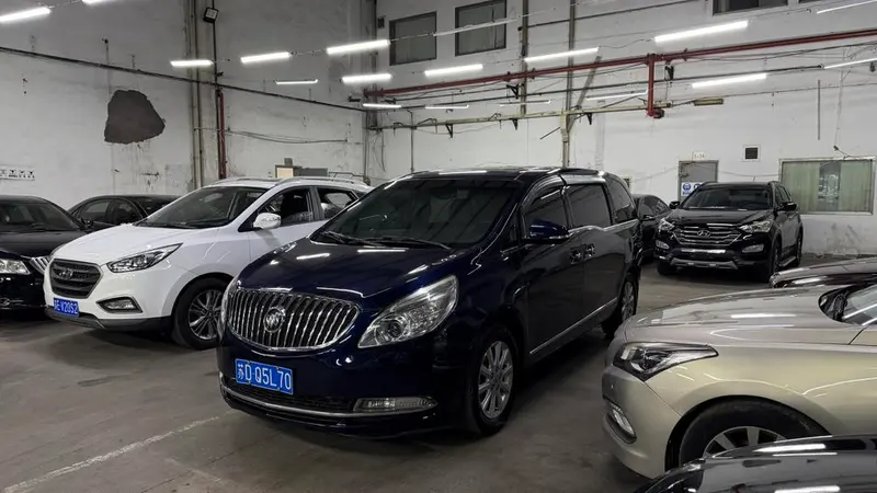 Buick GL8 3.0L GT Luxury Business Elegant Edition, 2013 — фото 1