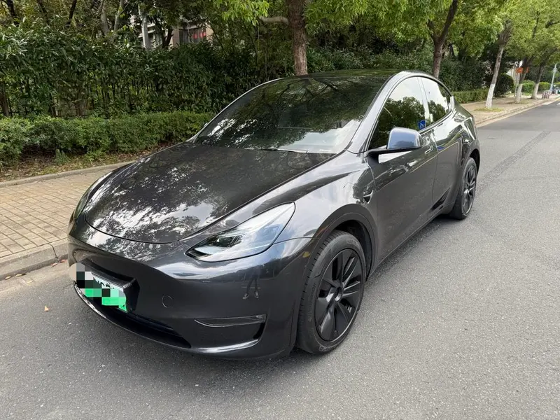 Tesla Model Y Long Range AWD Edition, 2024 — фото 1