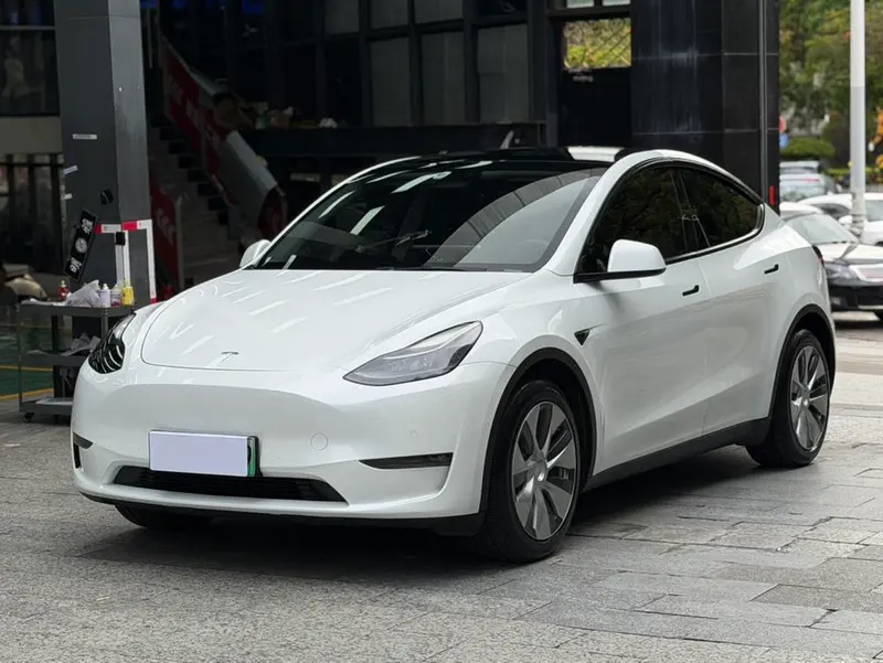 Tesla Model Y Long Range AWD Edition, 2021 — фото 1