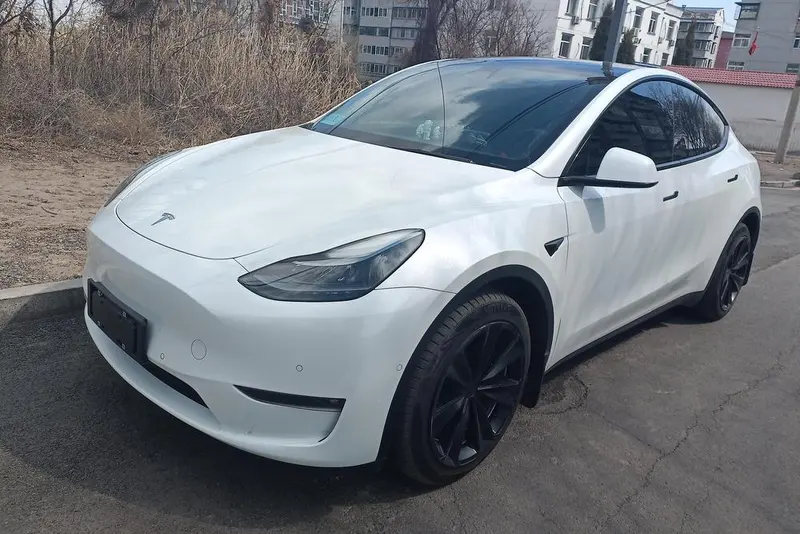Tesla Model Y Long Range AWD Edition, 2021 — фото 1