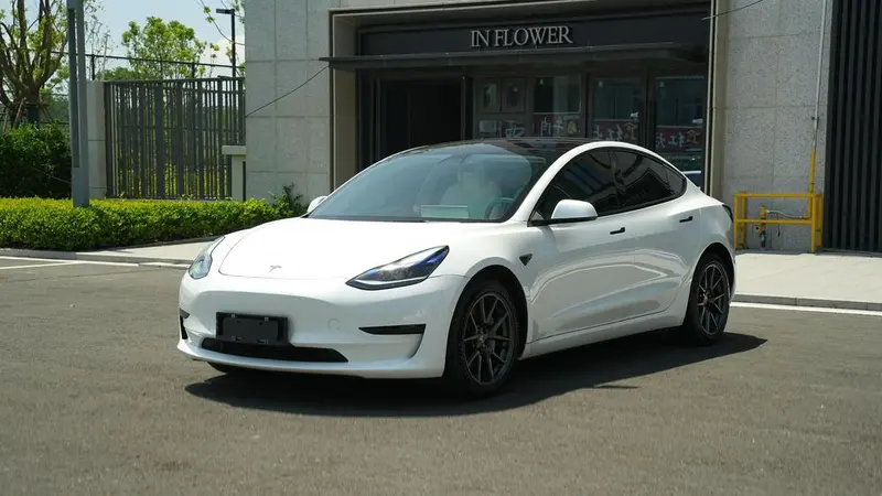 Tesla Model 3 Standard Range RWD Upgraded Edition, 2021 — фото 1