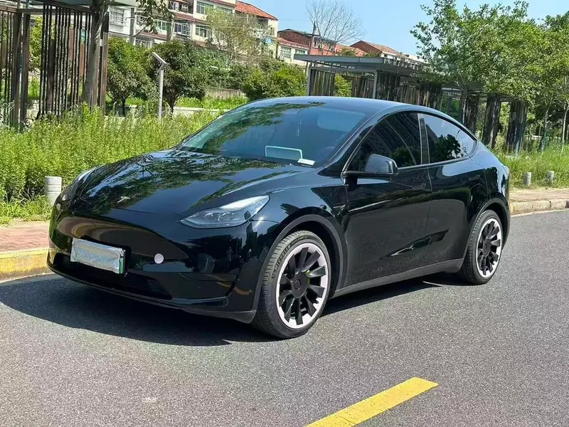 Tesla Model Y Standard Range Edition, 2021 — фото 1