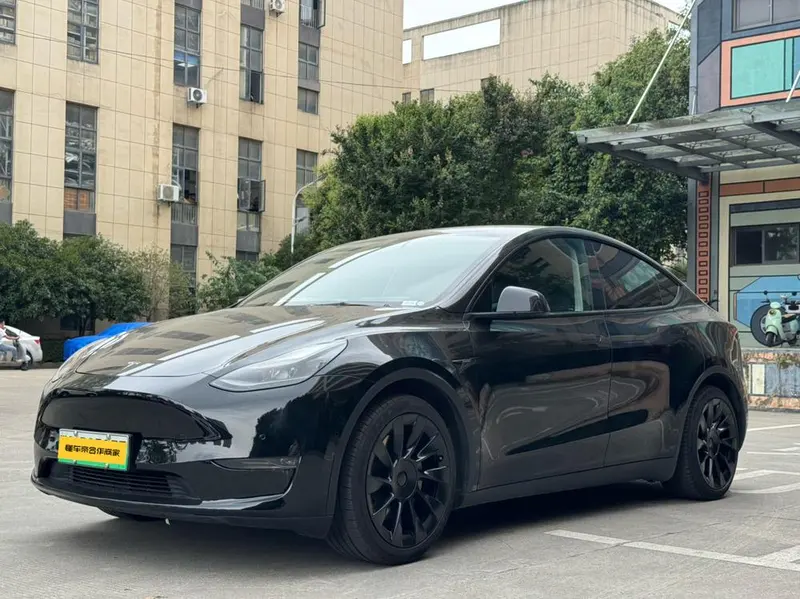 Tesla Model Y Standard Range Edition, 2021 — фото 1