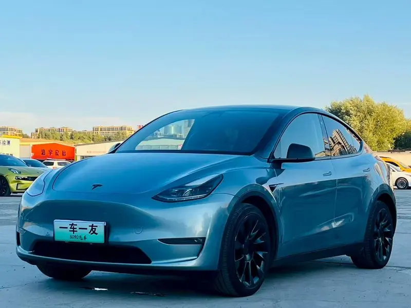 Tesla Model Y Long Range AWD Edition, 2021 — фото 1