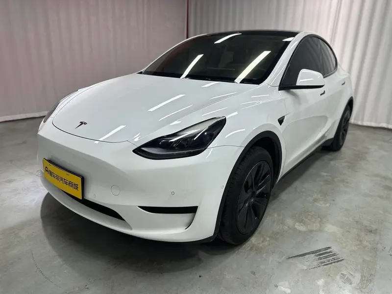 Tesla Model Y Edition, 2023 — фото 1