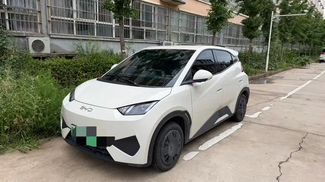 BYD Seagull, 2025