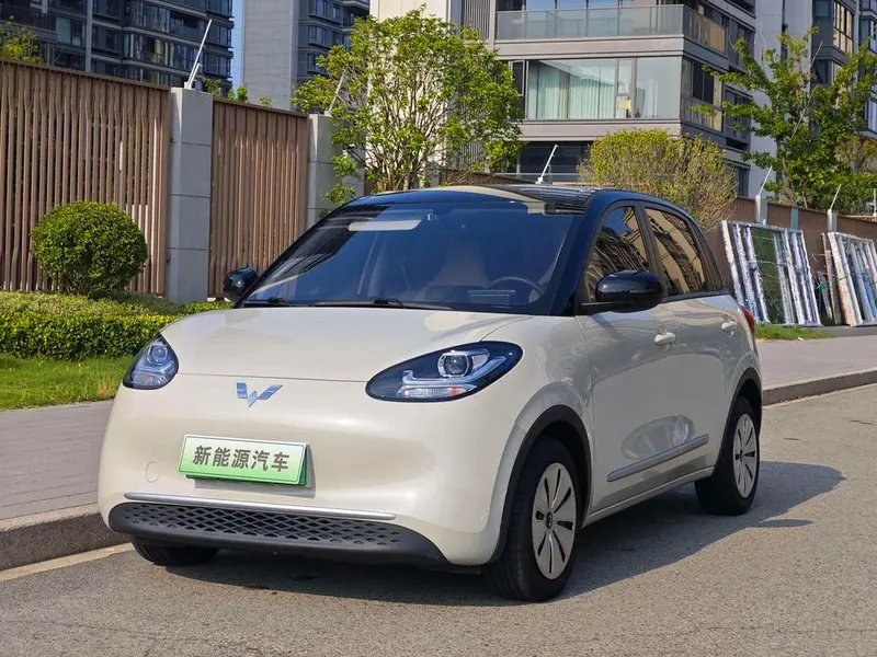 Wuling Bingo, 2023