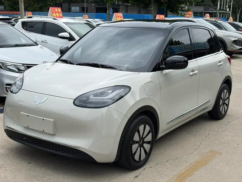 Wuling Bingo, 2023