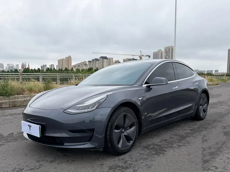 Tesla Model 3 Standard Range RWD Upgraded Edition, 2020 — фото 1