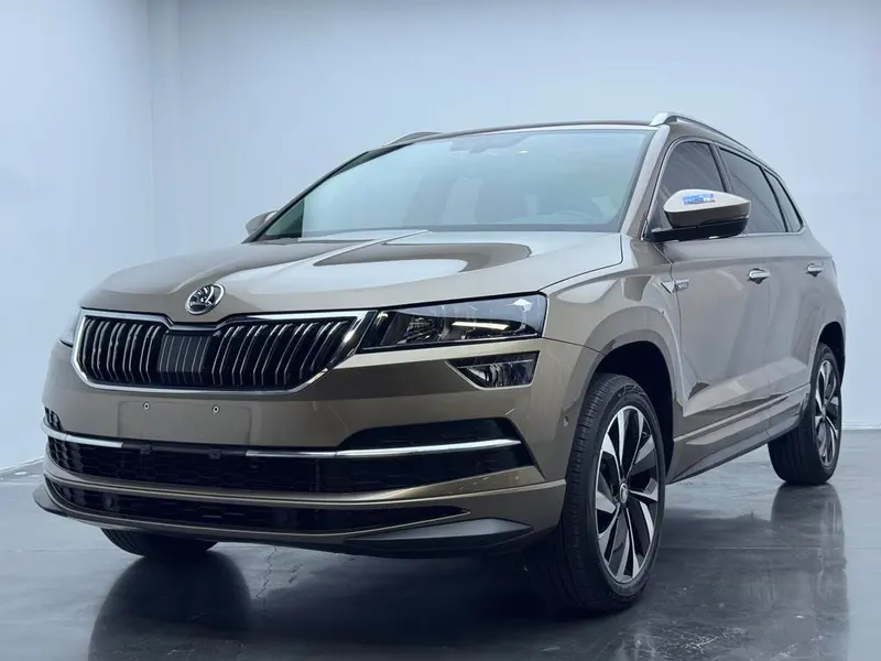 Skoda Karoq, 2022